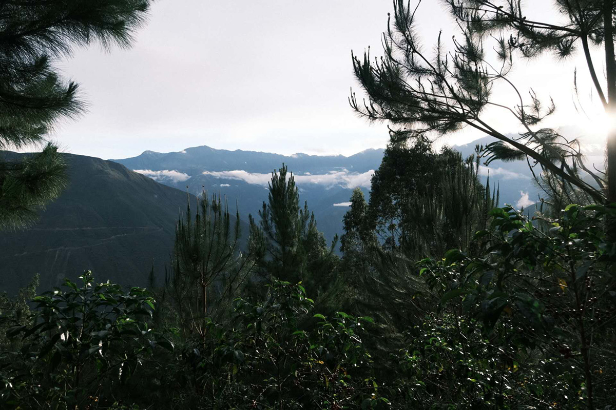 远景庄园 Villa Vista